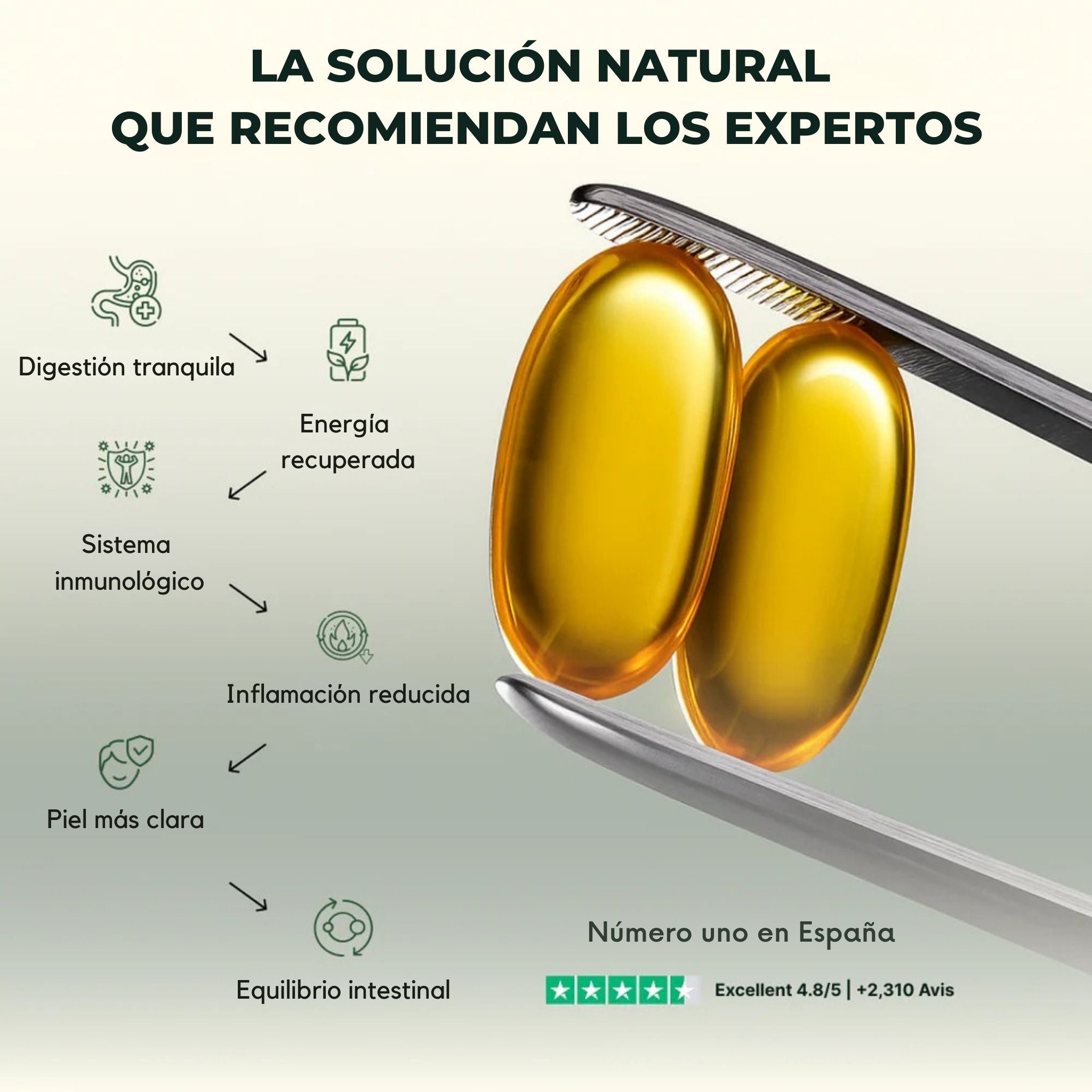 Sevelis™ Energía Vital - ¡Tu impulso diario!